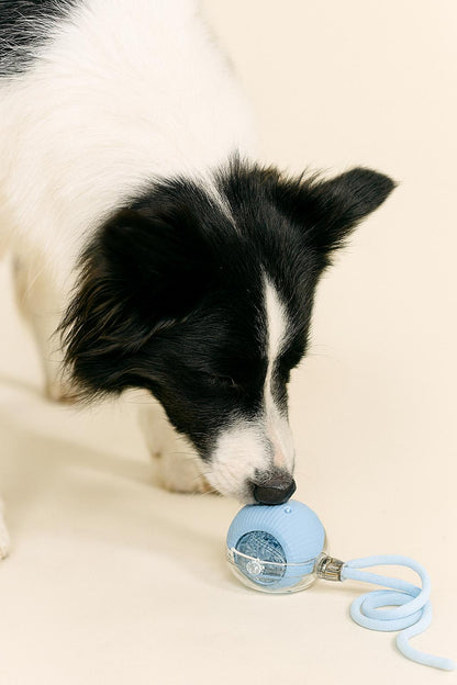 WoofyBall – Pelota Inteligente con Movimiento Automático para Mascotas