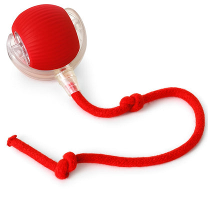 WoofyBall – Pelota Inteligente con Movimiento Automático para Mascotas