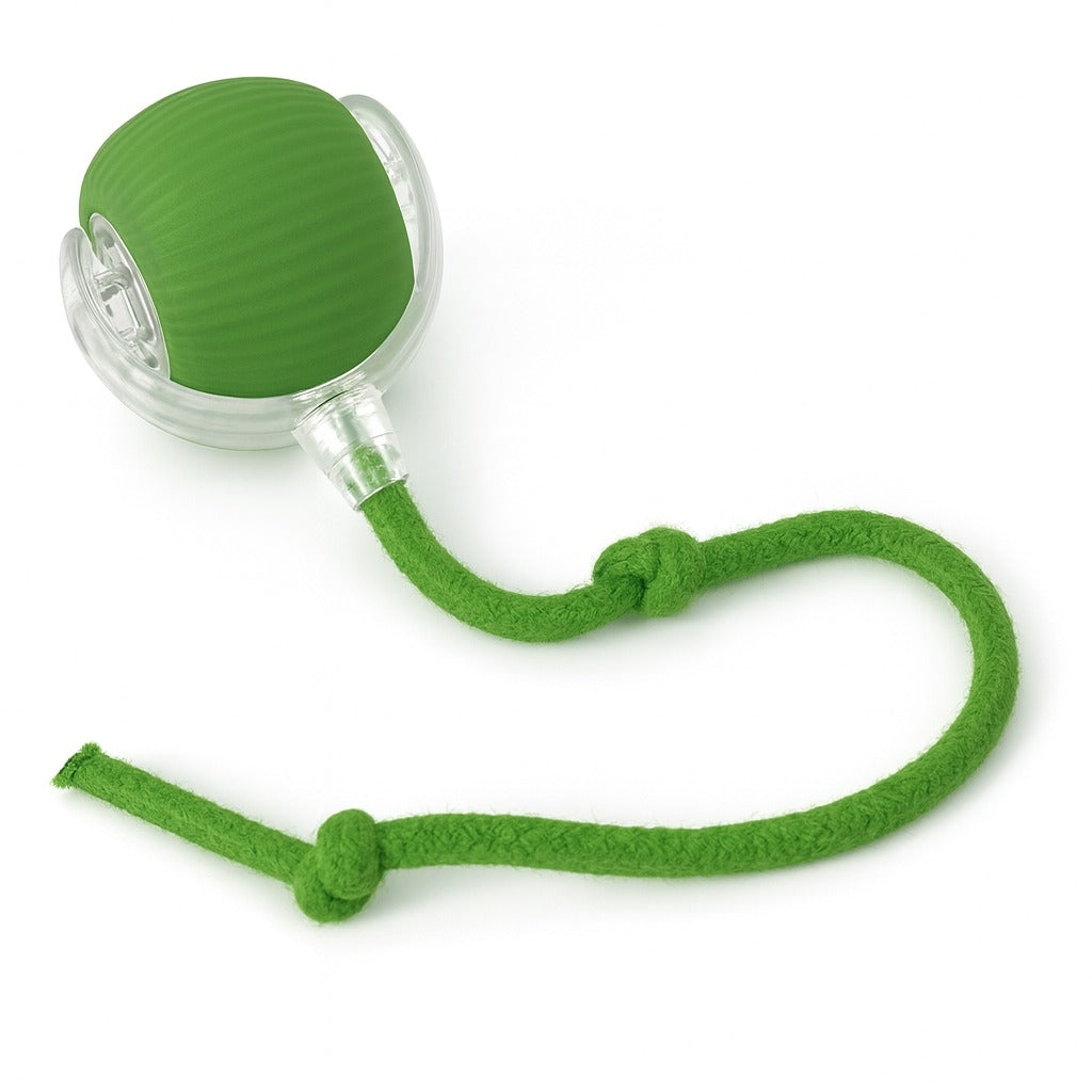 WoofyBall – Pelota Inteligente con Movimiento Automático para Mascotas